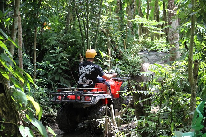 1.5 Hours Bali ATV Quad Tour - Lunch After the Adventure: Indonesian Buffet and a Real Reset
