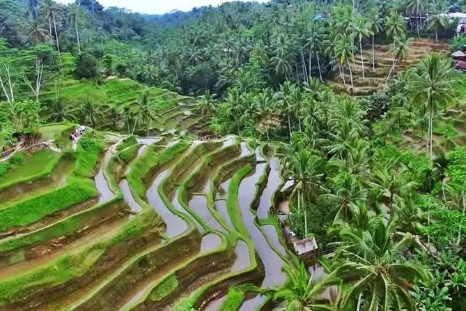 2-Day Experience Bali: Most Popular Tour - Seminyak to the highlights, without transit stress at 8:00 am