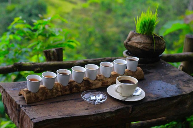 2 Days Best of Bali Famous Tour Packages - Price and value: what $142 includes, and what you should watch