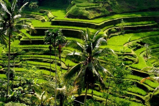 2 Days Mount Batur Sunrise Trekking With Private Ubud Day Tour - Day 2 in Ubud: A Private Highlight Day That Saves You Headaches