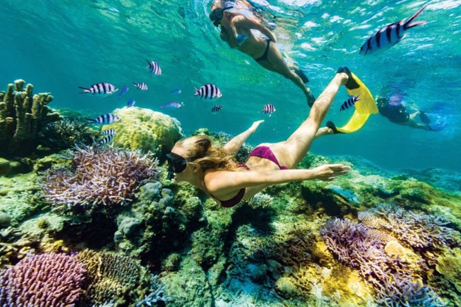 All Inclusive Bali Blue Lagoon Snorkeling with Lunch and Transport - Tanjung Jepun: Shallow Water, Close Fish, and a Calm First Try
