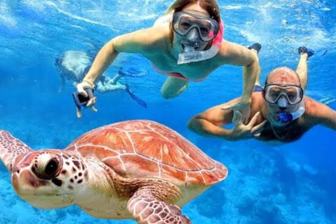 All Inclusive Bali Blue Lagoon Snorkeling with Lunch and Transport - The Full Route: How the Day Moves From Pickup to Return