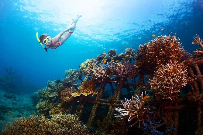 All-Inclusive Bali Snorkeling at Blue Lagoon Beach & ATV Ride - What the Optional Ubud Stops Add (Monkey Forest and Royal Palace)