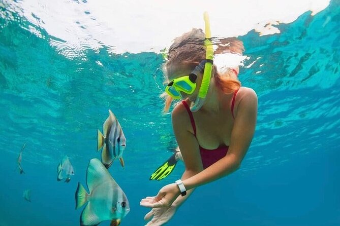 All Inclusive Blue Lagoon Snorkeling with Bali ATV Quad Adventure - Pickup, Timing, and How the 8 Hours Usually Feel