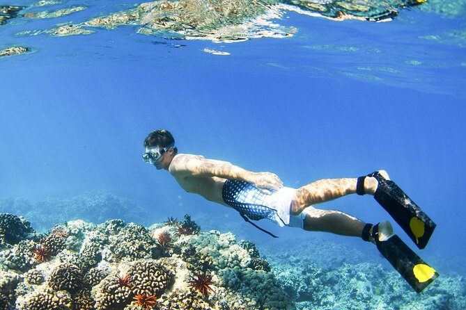 All Inclusive Blue Lagoon Snorkeling with Bali ATV Quad Adventure - Getting to Blue Lagoon: Private Transport That Saves Your Energy