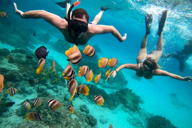 All Inclusive Blue Lagoon Snorkeling with Bali ATV Quad Adventure - Lunch and Included Gear: Where This Tour Keeps It Simple