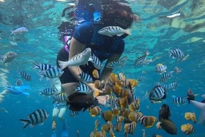 All Inclusive Blue Lagoon Snorkeling with Bali ATV Quad Adventure - Price and Value: What $70 Covers in Real Terms