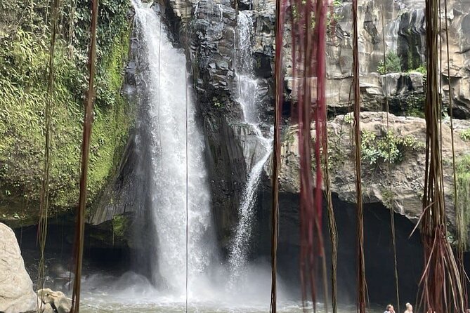 All Inclusive Ubud Cultural and Natural Highlights Tour - Private Ubud highlights: why this feels easier than DIY
