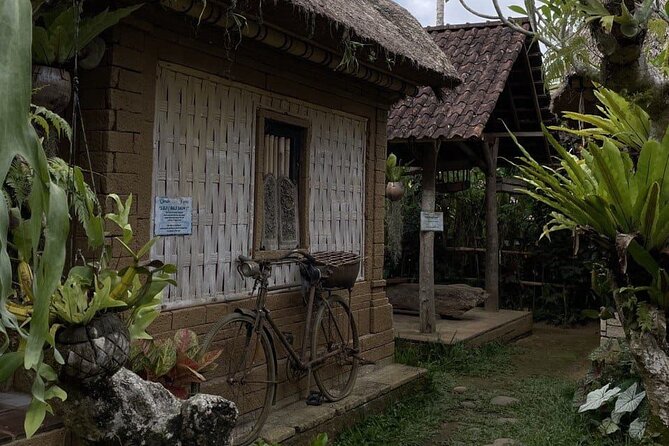 All Inclusive Ubud Cultural and Natural Highlights Tour - Lunch with a jungle view: fuel that keeps the day enjoyable