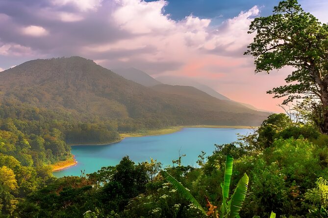 Amazing Bali Dolphin Watching Trip Experience - Lovina sunrise dolphins, and why the early start matters