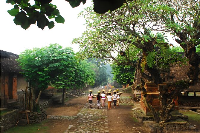 Amazing Private East Bali Full-Day Tour - Stop 2: Goa Lawah Sea Temple and the Cave of Bats