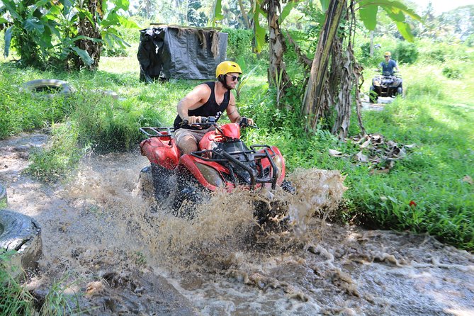 ATV Tour with Monkey Forest Experience in Bali - Ubud region countryside routes: where the views come from