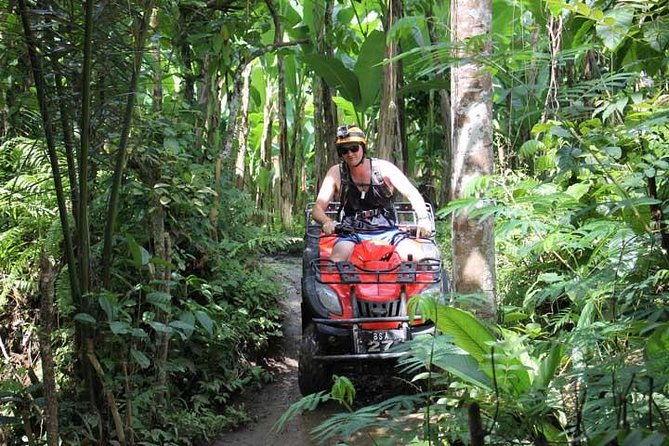 ATV Tour with Monkey Forest Experience in Bali - Sangeh Monkey Forest: macaques, ancient trees, and one rule you can’t ignore