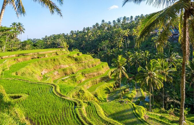 Bali 3 Days Private Tour-Bali Highlight - Key points to know before you go