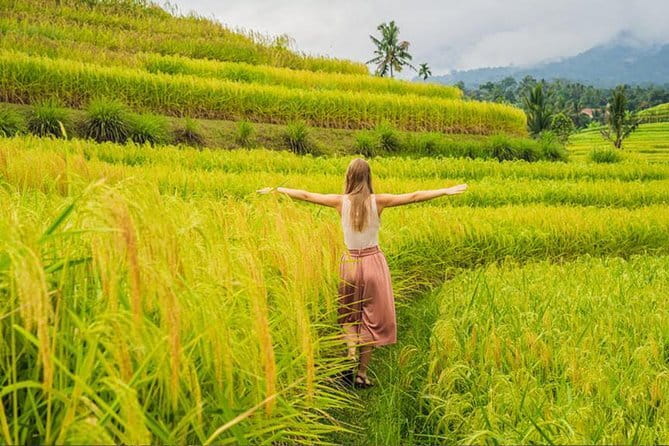 Bali Airport from or to Seminyak/Canggu/Sanur/NusaDua/Uluwatu - Price and Logistics: What $25 Buys You (and What It Does Not)