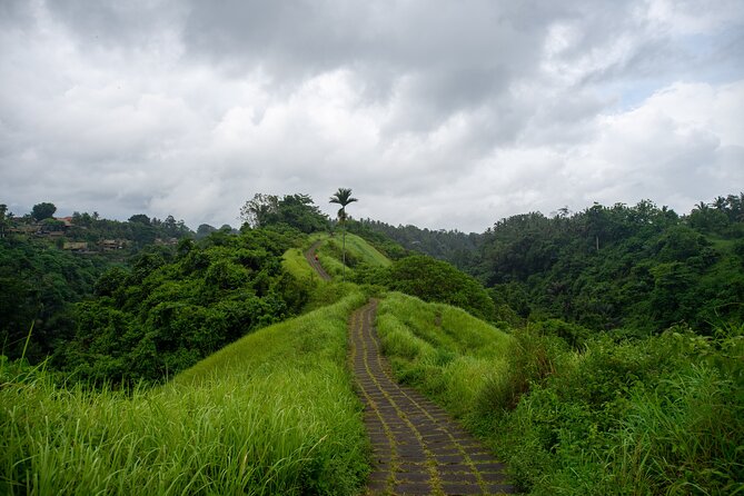 Bali Airport Pickup Transfer to Ubud Area (Private) - From Ngurah Rai to Ubud, the easiest way to start right
