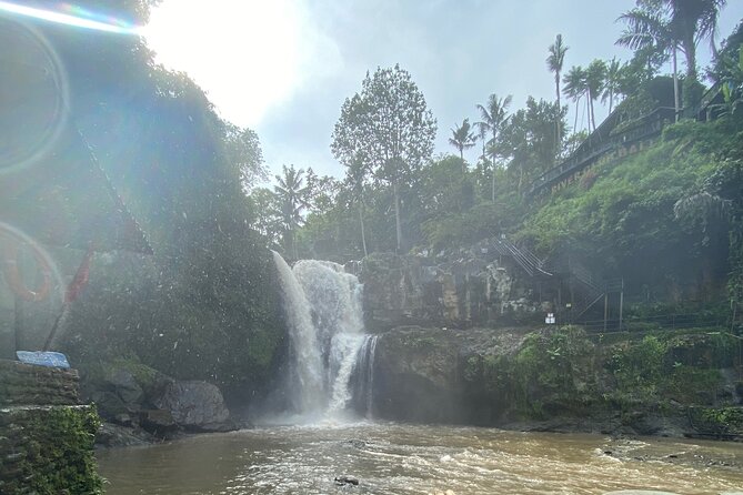 Bali Arts shopping with temples-waterfall visit. - Semar Kuning Artist Cooperative: painting with purpose behind it
