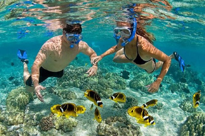 Bali ATV Blue Lagoon Snorkeling Private Guided Tour Free WiFi - Blue Lagoon snorkeling: boat transfer, coral views, fish feeding, and rinse time