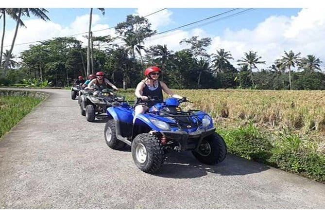 Bali ATV Quad Bike Ubud Swing & Monkey Forest All Inclusive - Tegalalang Jungle Swing: photos above the rice and jungle views
