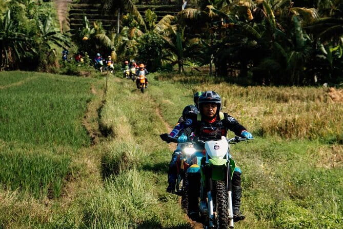 Bali ATV Quad Bike Ubud Swing & Monkey Forest All Inclusive - Price and value: is $95 per person a smart deal?