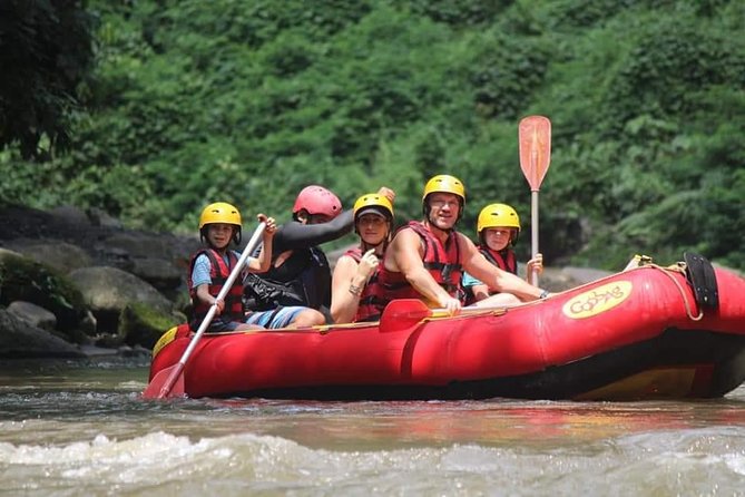 Bali ATV Rafting And Ubud Waterfall Private Tour - Ayung River rafting: Grade II-III, guides, and the stair reality