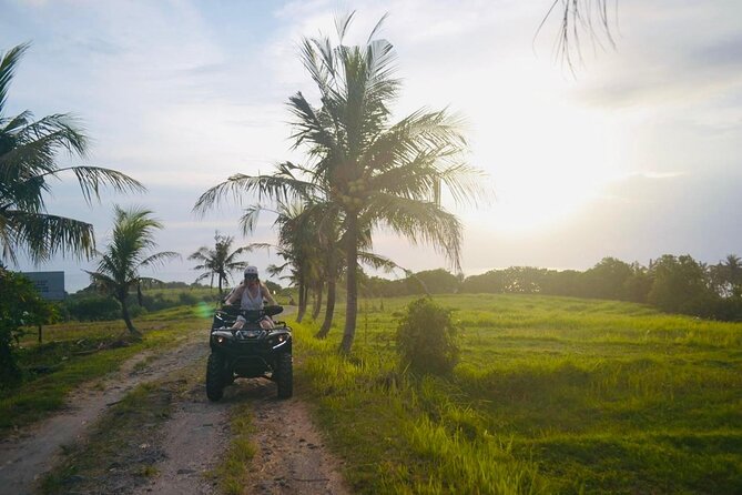 Bali ATV Ride On the Beach, Rice Field and Village Tour 2 Hour - Price and value: what $44.50 buys in the real world
