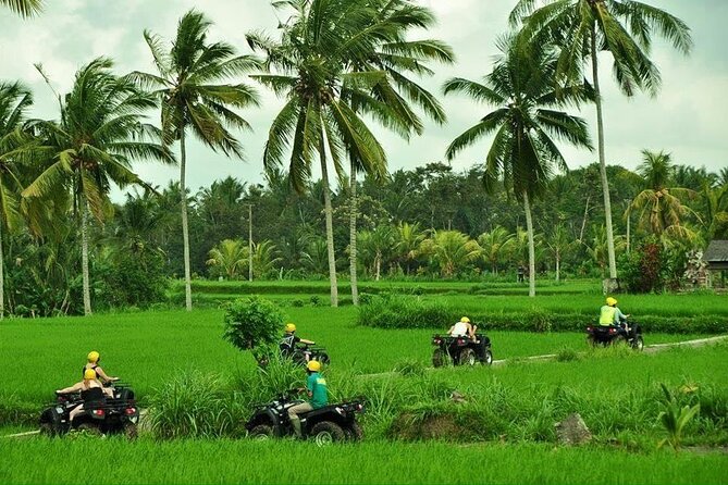 Bali ATV Ride tour Ubud - The 2-Hour Plan: Jungle, Rice Fields, River, and a Hidden Waterfall Stop