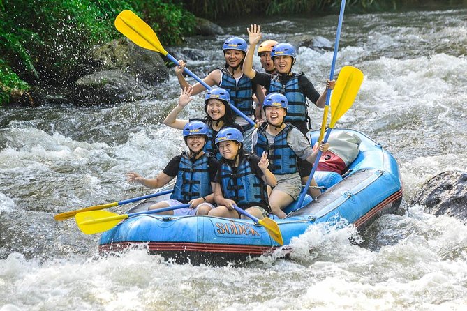 Bali: Ayung River White Water Rafting Adventure - The Ayung River run: what class II to III really feels like