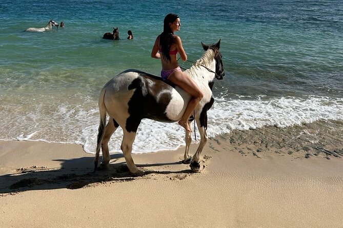 Bali Beach Horse Riding combo with waterfall All Inclusive - Horse riding on Saba Beach: romance, movement, and real coaching
