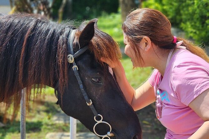 Bali Beach Horse Riding combo with waterfall All Inclusive - All inclusive value: what $115 really covers