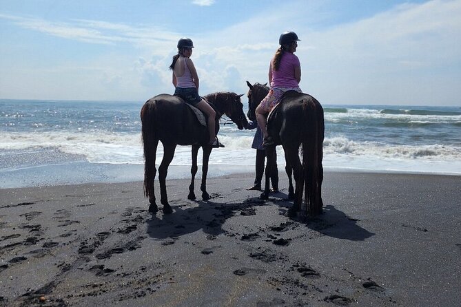 Bali Beach Horse Riding combo with waterfall All Inclusive - Small details that make the difference on the ground