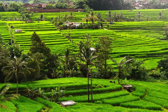 Bali: Bedugul Lake Temple, Banyumala Waterfall, UNESCO Rice Field - Private car pickup from Seminyak to Bedugul, with less stress