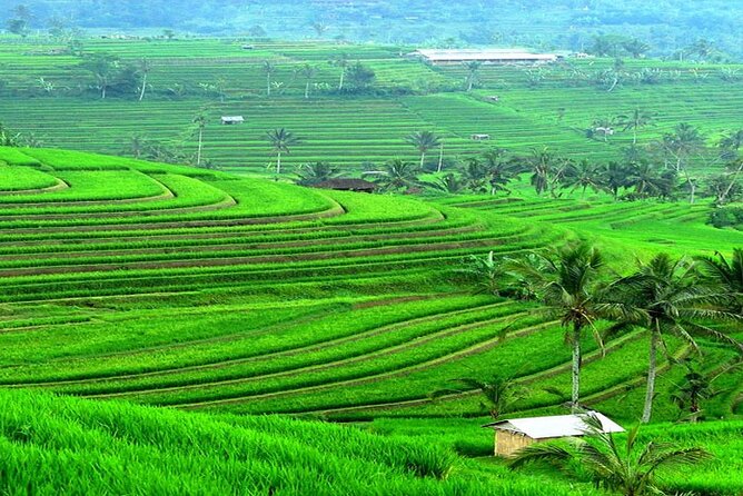 Bali: Bedugul Lake Temple, Banyumala Waterfall, UNESCO Rice Field - Price and value: the $30 question, plus entry-fee reality