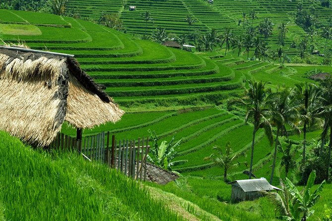 Bali: Bedugul Lake Temple, Banyumala Waterfall, UNESCO Rice Field - Ulun Danu Beratan Temple: Lake Beratan’s iconic plateau view
