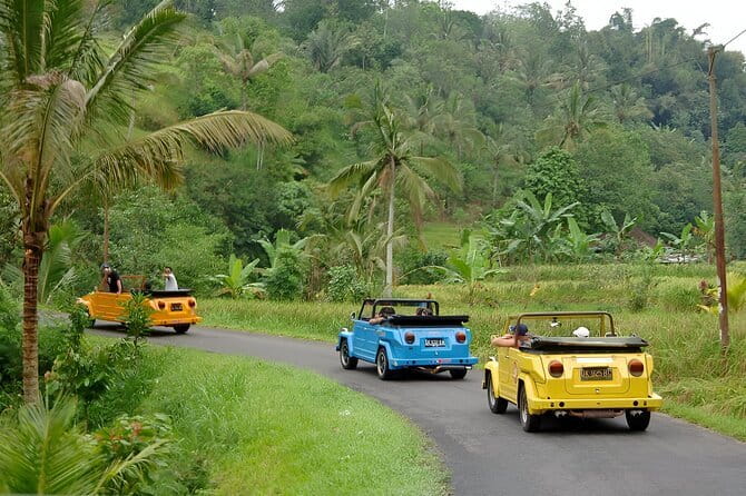 Bali: Bedugul Temple, Banyumala Waterfall, UNESCO Rice Terrace - Price and Value: What You’re Really Paying For
