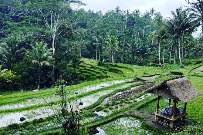 Bali: Best Eastern Waterfalls with Private Bali Tours - Price and Tickets: Is $39 Good Value?