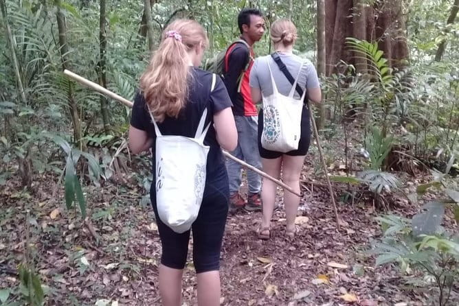 Bali Blue Lagoon Snorkeling and Waterfall Day Tour with Lunch - Boat transfer to two snorkeling spots: less hassle, more water time