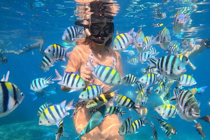 Bali Blue Lagoon Snorkeling - Lunch and Transport All Inclusive - Key highlights to expect