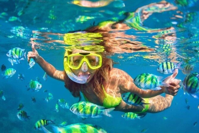 Bali Blue Lagoon Snorkeling - Lunch and Transport All Inclusive - Door-to-Door Transport and How It Changes Your Day