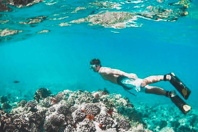 Bali Blue Lagoon Snorkeling - Lunch and Transport All Inclusive - Lempuyang Temple and the Gates of Heaven Photo Reality