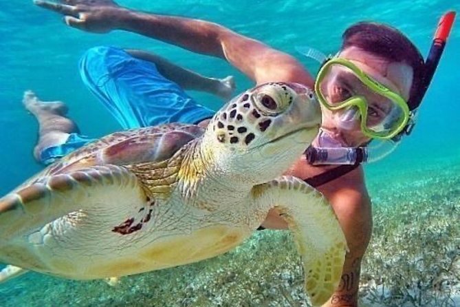 Bali Blue Lagoon Snorkeling - Lunch and Transport All Inclusive - The Coffee Plantation Stop: Learning, Tasting, and Culture Without the Hard Sell
