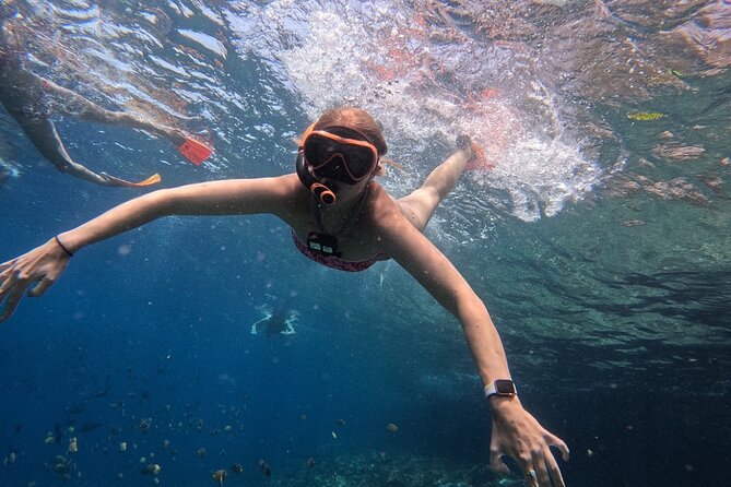 Bali Blue Lagoon Snorkeling - Lunch and Transport All Inclusive - Timing, Weather, and How to Get the Best Version of This Day