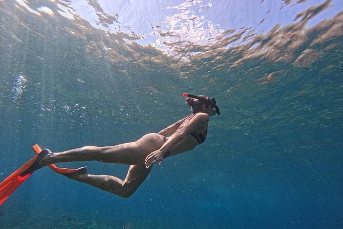 Bali Blue Lagoon Snorkeling - Lunch and Transport All Inclusive - Price and Value: Is $39 a Good Deal for All This?