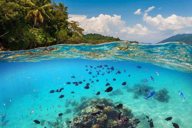 Bali Blue Lagoon Snorkeling Tour All Inclusive - From Seminyak to Padang Bai: How the Day Really Flows