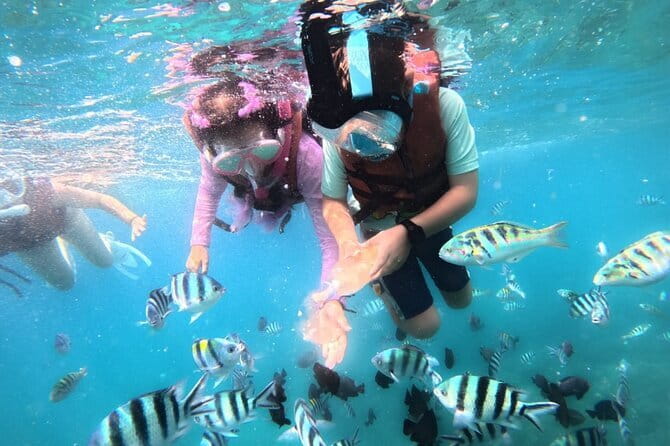 Bali Blue Lagoon Snorkeling Tour All Inclusive - Tanjung Jepun: Calm-Water Snorkeling That Helps Beginners