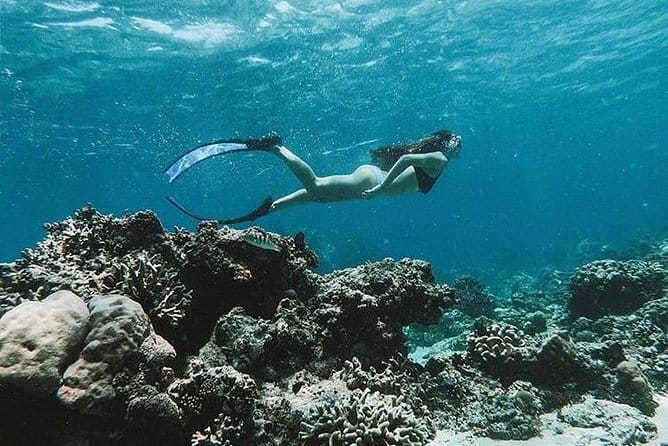 Bali Blue Lagoon Snorkeling Tour All Inclusive - Gear, Gear Moments, and What to Do Before Water Time
