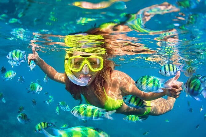 Bali Blue Lagoon Snorkeling Tour All Inclusive - Blue Lagoon: Coral, Tropical Fish, and Turtle Odds