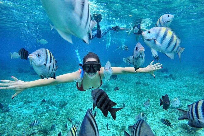 Bali Blue Lagoon Snorkeling with Optional Tour & Activities - Bias Tugel Beach snorkeling: reef life you actually want to see
