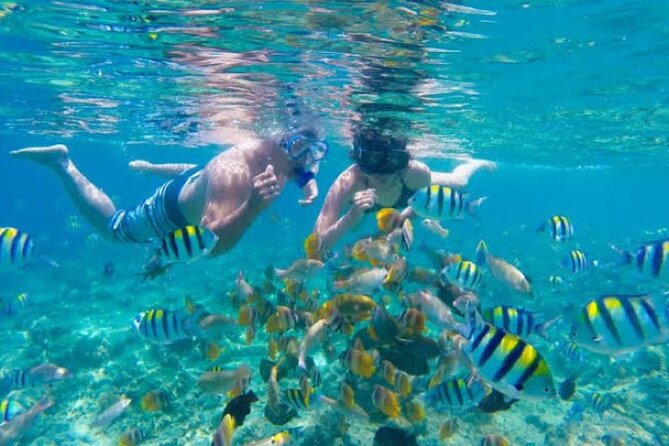 Bali Blue Lagoon Snorkeling with Private Transfer & Lunch - Why Blue Lagoon is such a good match for beginners