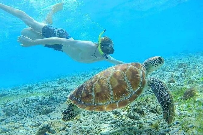 Bali Blue Lagoon Snorkeling with Private Transfer & Lunch - Stop 2: Tanjung Jepun Beach, plus the traditional boat ride